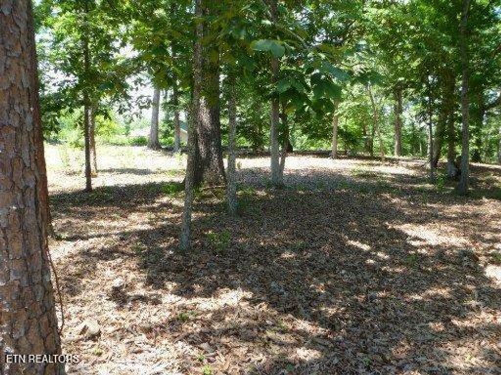 Photo of Star Lane, Rockwood, TN 37854 (MLS # 1324367)