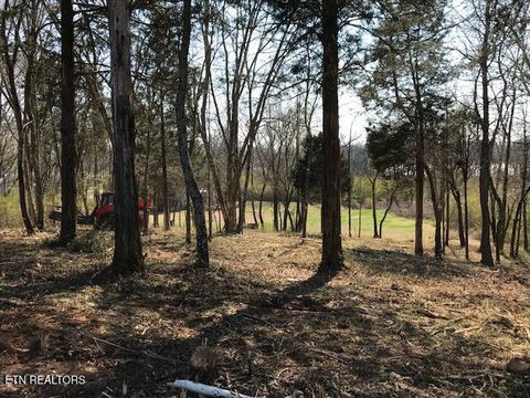 Tiny photo for Star Lane, Rockwood, TN 37854 (MLS # 1324367)