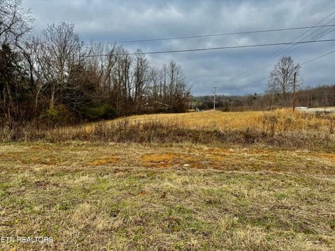 Tiny photo for 375 S White PIne Rd, White Pine, TN 37890 (MLS # 1328087)