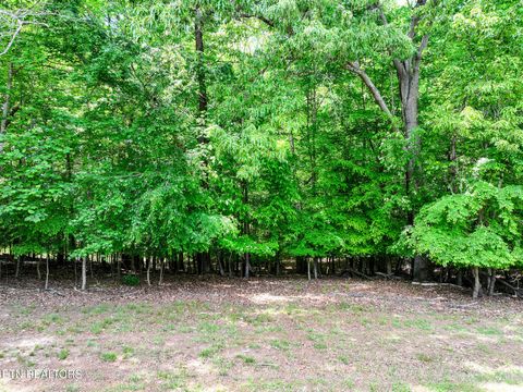 Tiny photo for 1475 Old Chisholm Tr, Dandridge, TN 37725 (MLS # 1338219)