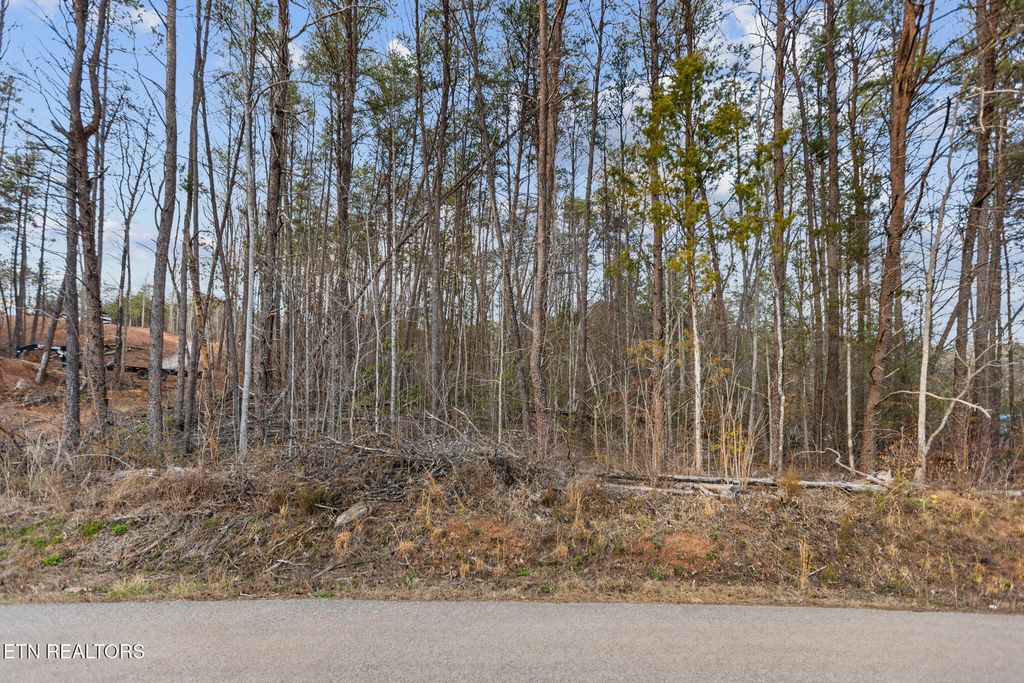 Photo of 4705 Emert Williams Rd, Maryville, TN 37803 (MLS # 1331899)