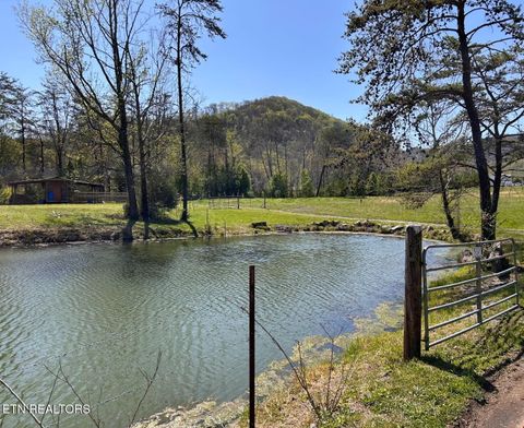 Photo of 275 Republican Hill Rd, Newcomb, TN 37819 (MLS # 1341235)
