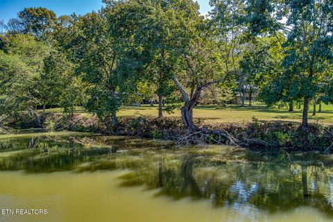Tiny photo for 225 Over Mountain Lane, Powell, TN 37849 (MLS # 1317908)