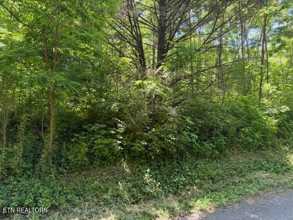 Photo of 1635 Noe Circle, New Market, TN 37820 (MLS # 1341492)