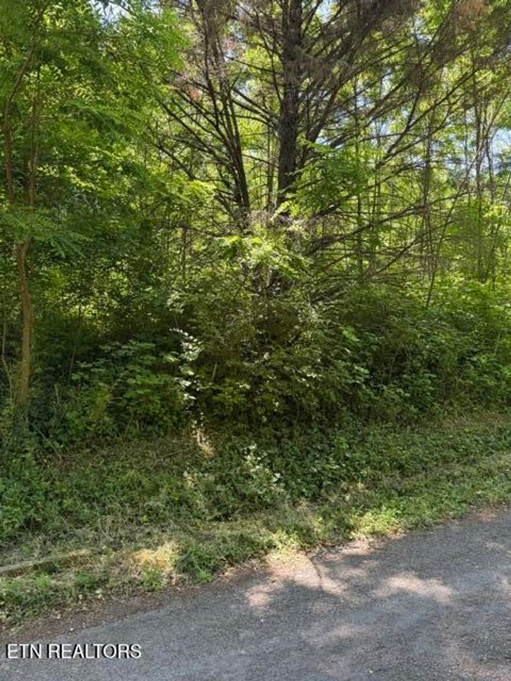 Photo of 1635 Noe Circle, New Market, TN 37820 (MLS # 1341492)