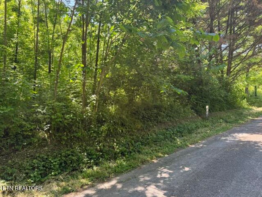 Photo of 1635 Noe Circle, New Market, TN 37820 (MLS # 1341492)