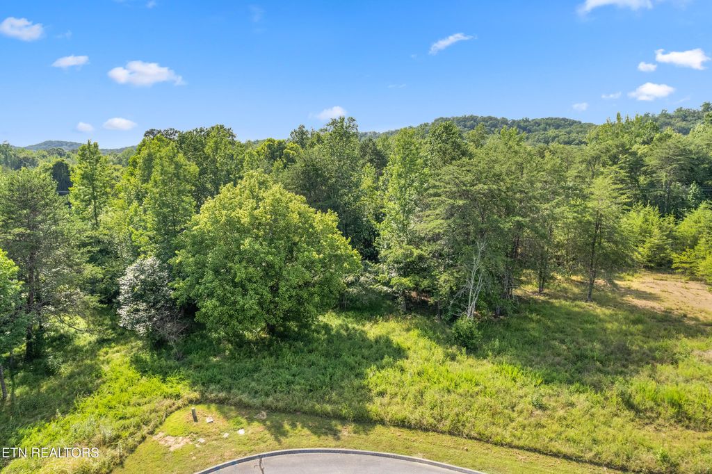 Photo of Lot 77 Creekside Drive, Harriman, TN 37748 (MLS # 1309970)