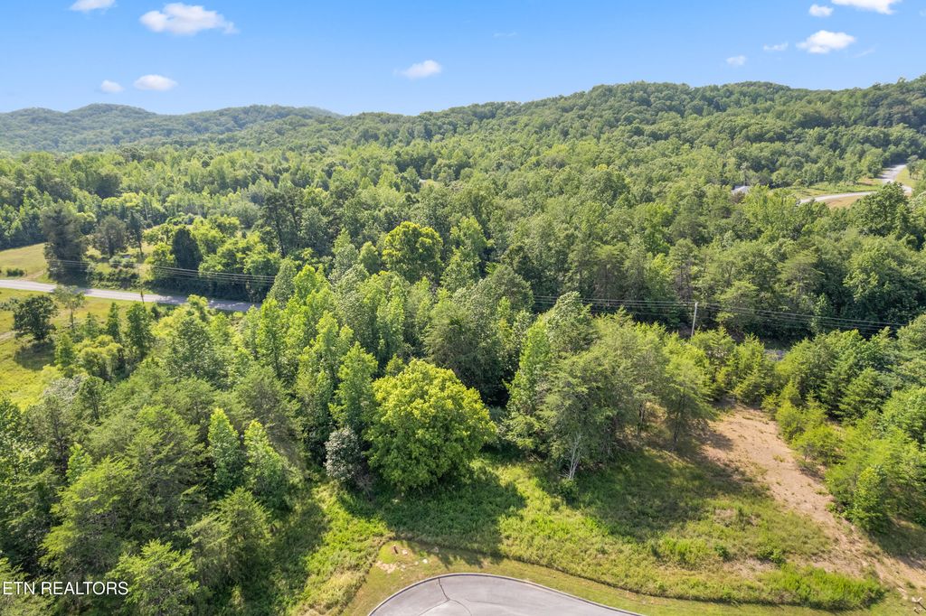 Photo of Lot 77 Creekside Drive, Harriman, TN 37748 (MLS # 1309970)