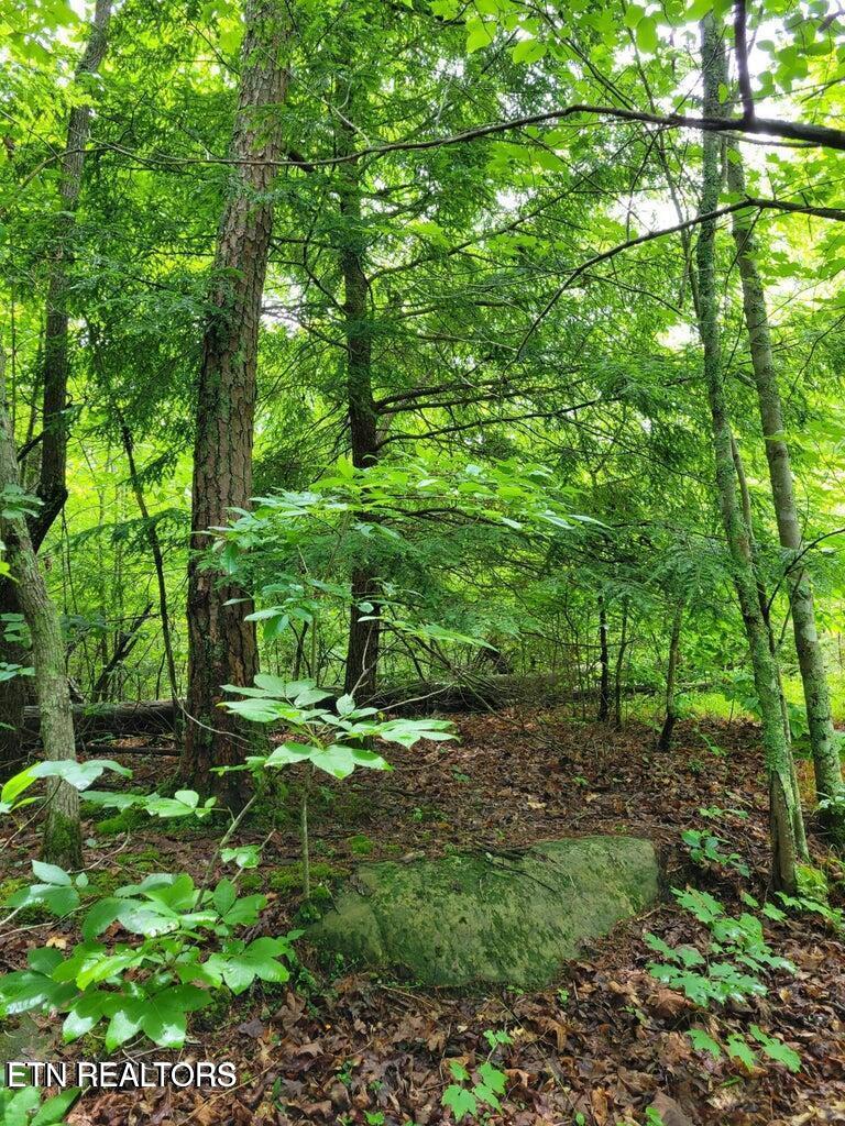 Cumberland Lakes Lot 5 Photo 3