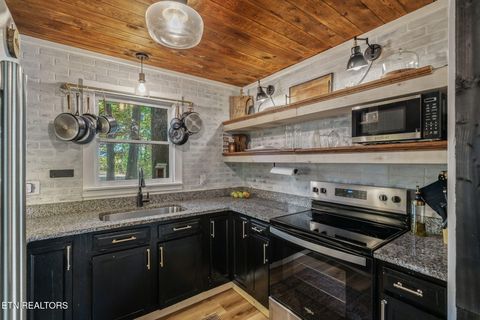 Tiny photo for 135 Eagle Ridge Drive, Philadelphia, TN 37846 (MLS # 1319888)