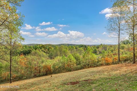 Tiny photo for 135 Eagle Ridge Drive, Philadelphia, TN 37846 (MLS # 1319888)