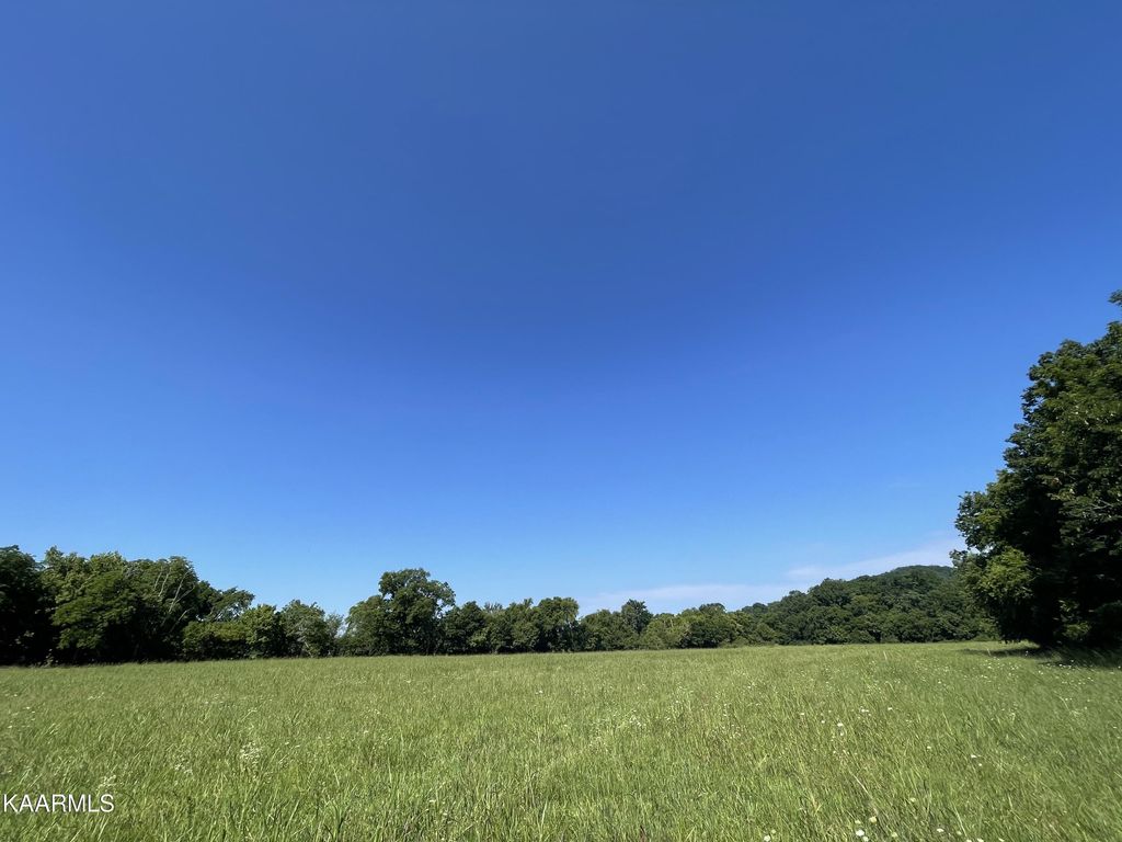 Photo of 3 Martin Mill (12 Acres) Pike, Rockford, TN 37853 (MLS # 1233066)