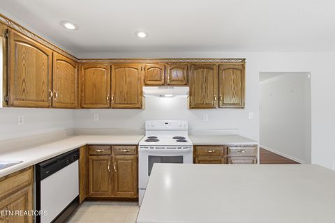 Tiny photo for 135 Rebel Rd, Harriman, TN 37748 (MLS # 1342453)