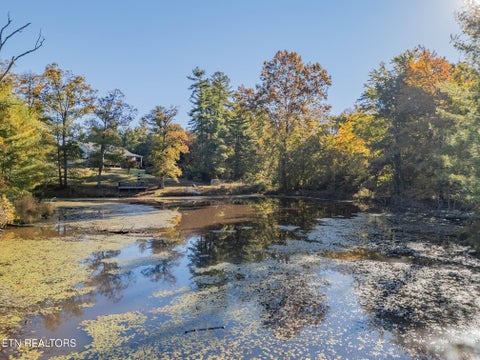 Tiny photo for 235 Hugh Jones Rd, Sunbright, TN 37872 (MLS # 1360105)