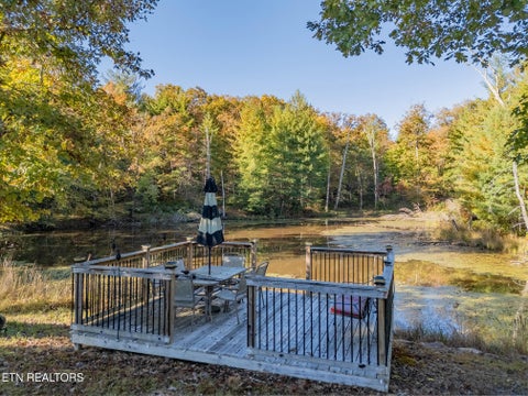 Tiny photo for 235 Hugh Jones Rd, Sunbright, TN 37872 (MLS # 1360105)