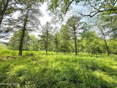 Photo of Lot 38 and 39 Black Oak Drive, Oak Ridge, TN 37830 (MLS # 1317813)