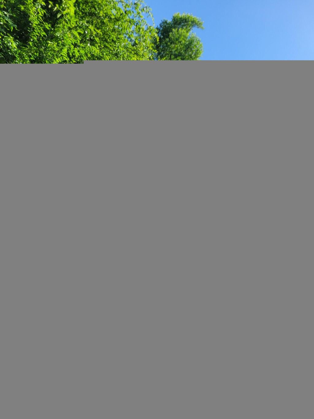 Photo of Clearwater Rd, New Tazewell, TN 37825 (MLS # 1264326)