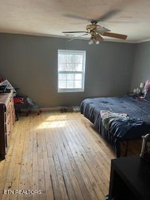 Tiny photo for 337 Lower Jackson Rd, Oliver Springs, TN 37840 (MLS # 1333607)