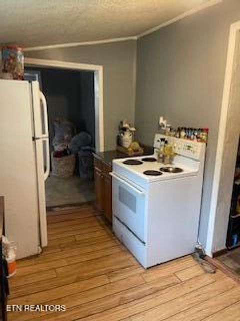 Tiny photo for 337 Lower Jackson Rd, Oliver Springs, TN 37840 (MLS # 1333607)