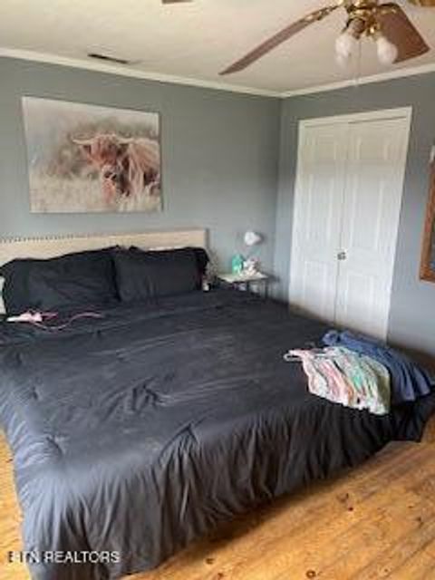 Tiny photo for 337 Lower Jackson Rd, Oliver Springs, TN 37840 (MLS # 1333607)