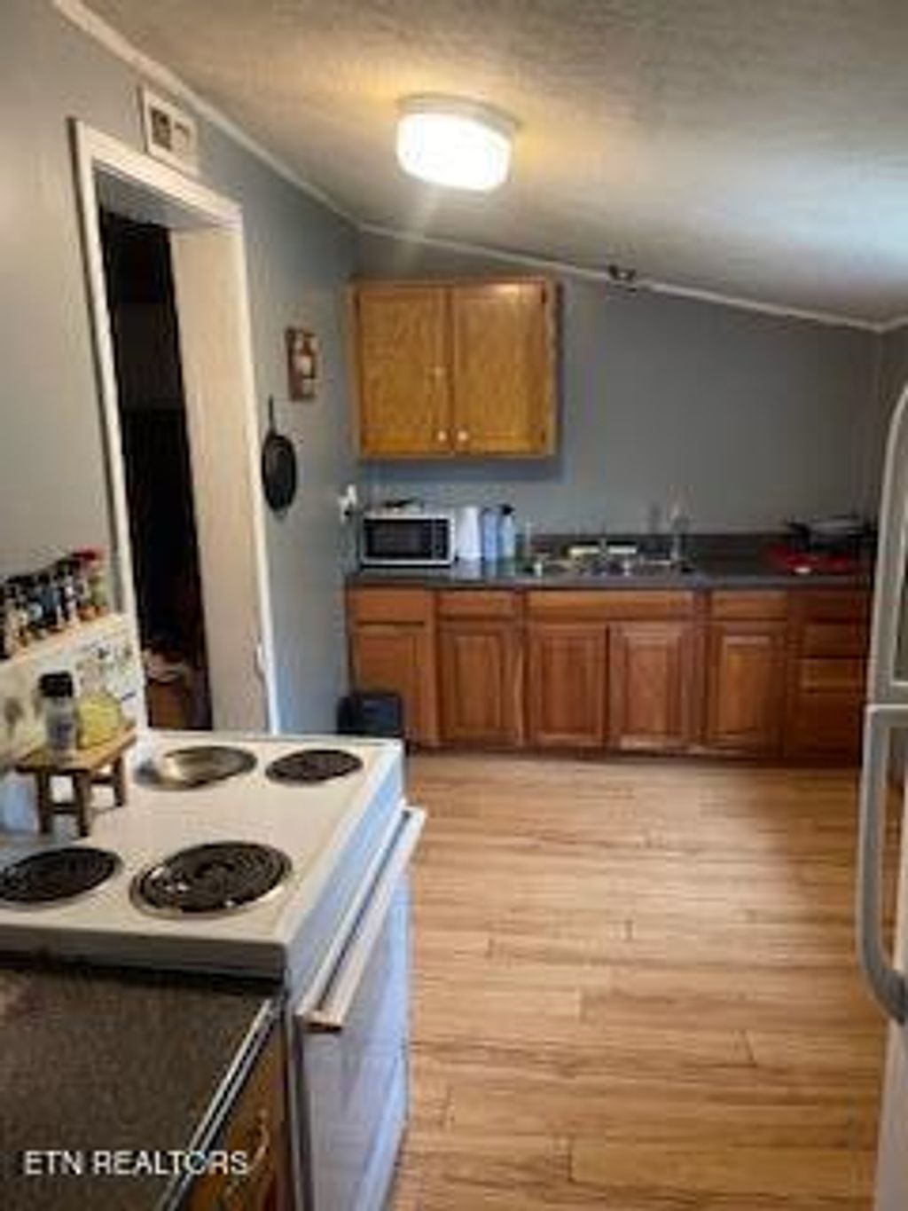 Photo of 337 Lower Jackson Rd, Oliver Springs, TN 37840 (MLS # 1333607)