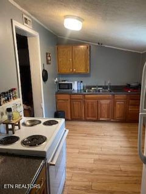 Tiny photo for 337 Lower Jackson Rd, Oliver Springs, TN 37840 (MLS # 1333607)