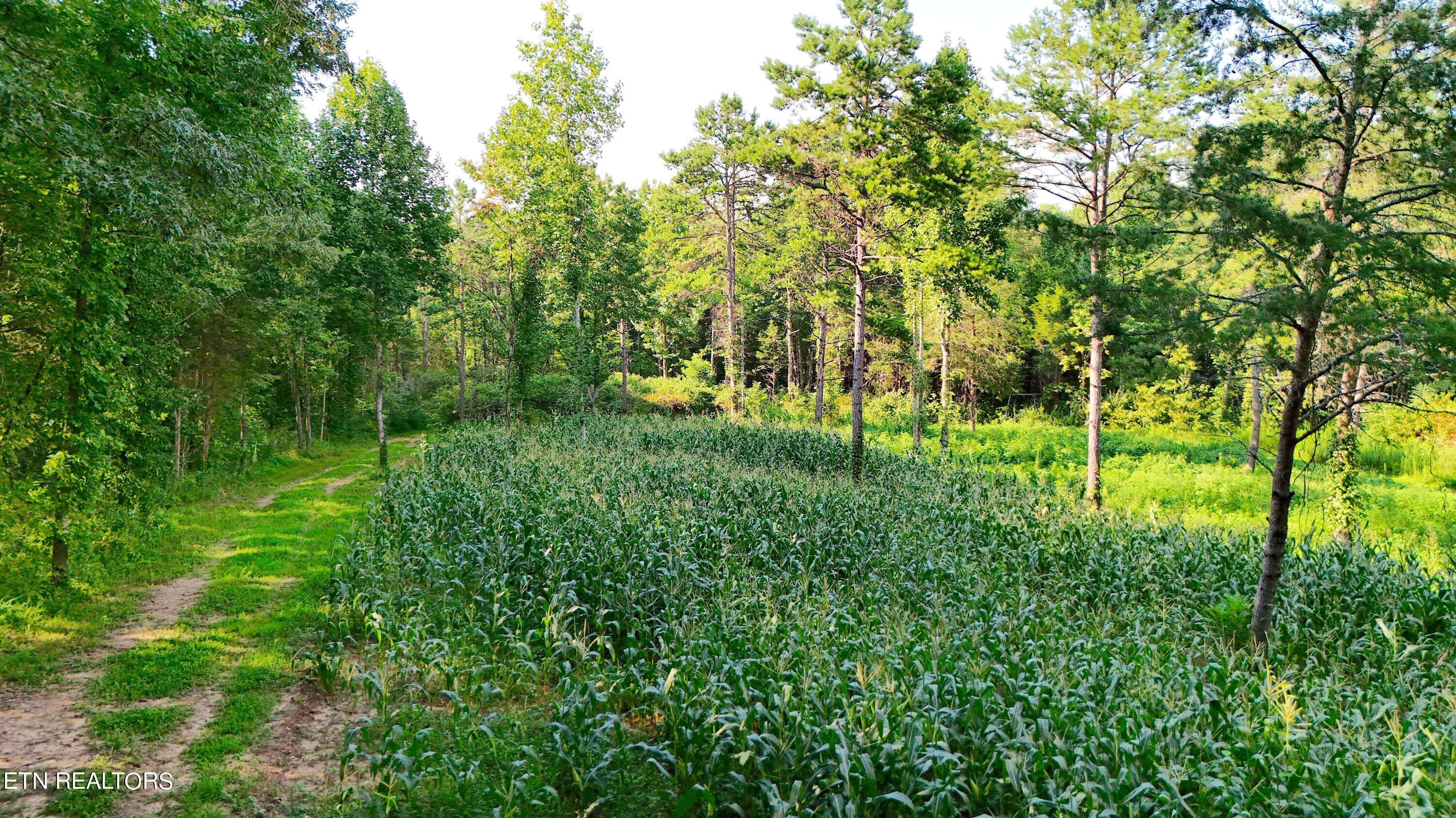 Lot 17 Pleasant View Cemetery Road