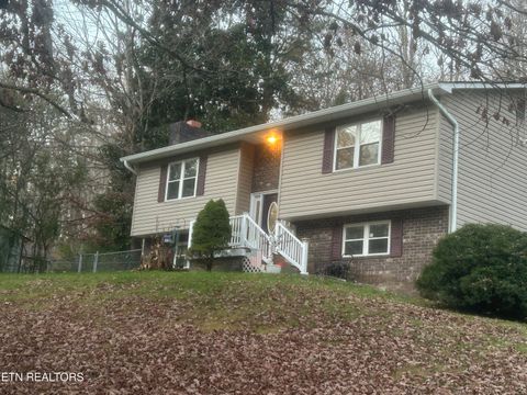 Tiny photo for 667 Hassler Mill Rd, Harriman, TN 37748 (MLS # 1322895)