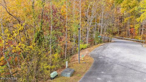 Tiny photo for Lots in Starr Crest Subd, Sevierville, TN 37876 (MLS # 1328030)