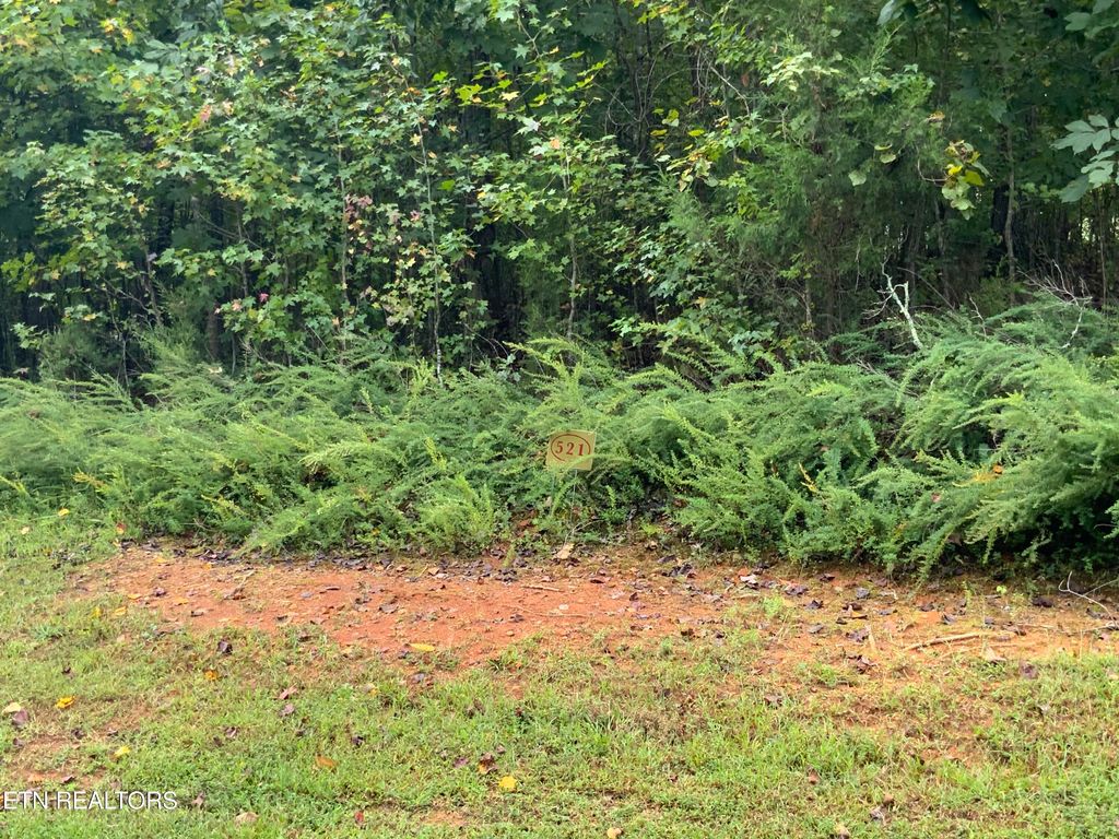 Photo of 368 Walking Horse Tr, Rockwood, TN 37854 (MLS # 1316578)