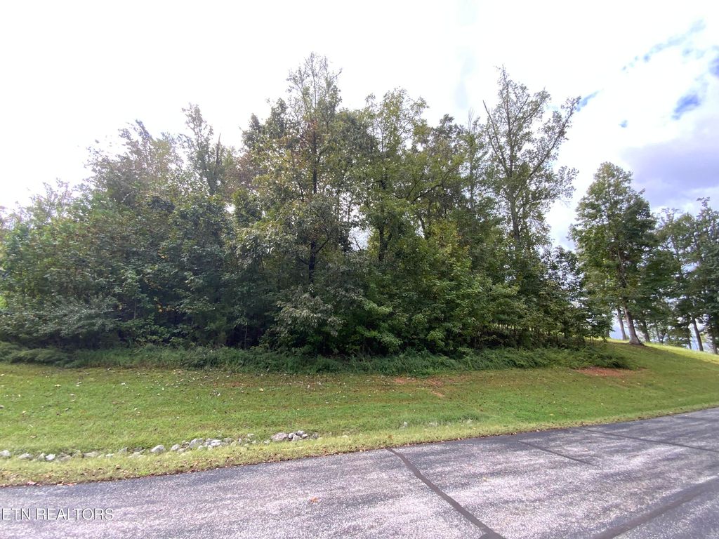 Photo of 368 Walking Horse Tr, Rockwood, TN 37854 (MLS # 1316578)
