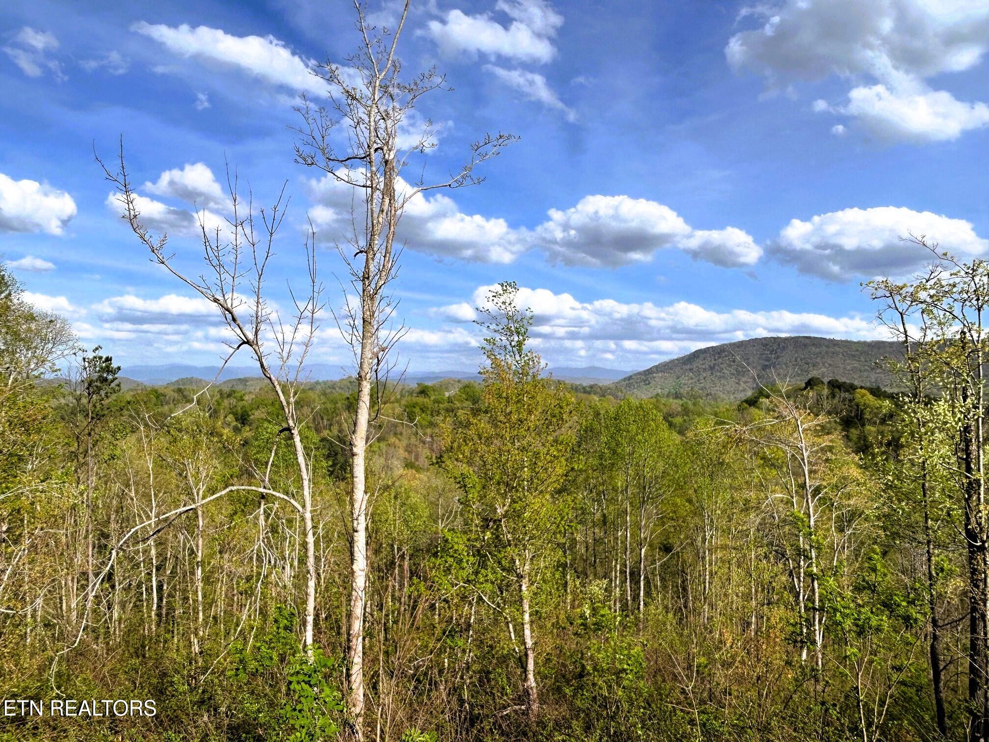 250 County Road 476