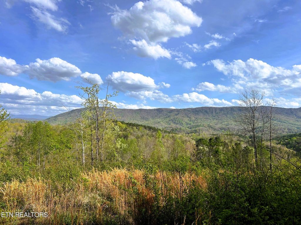 Photo of 250 County Road 476, Englewood, TN 37329 (MLS # 1297439)