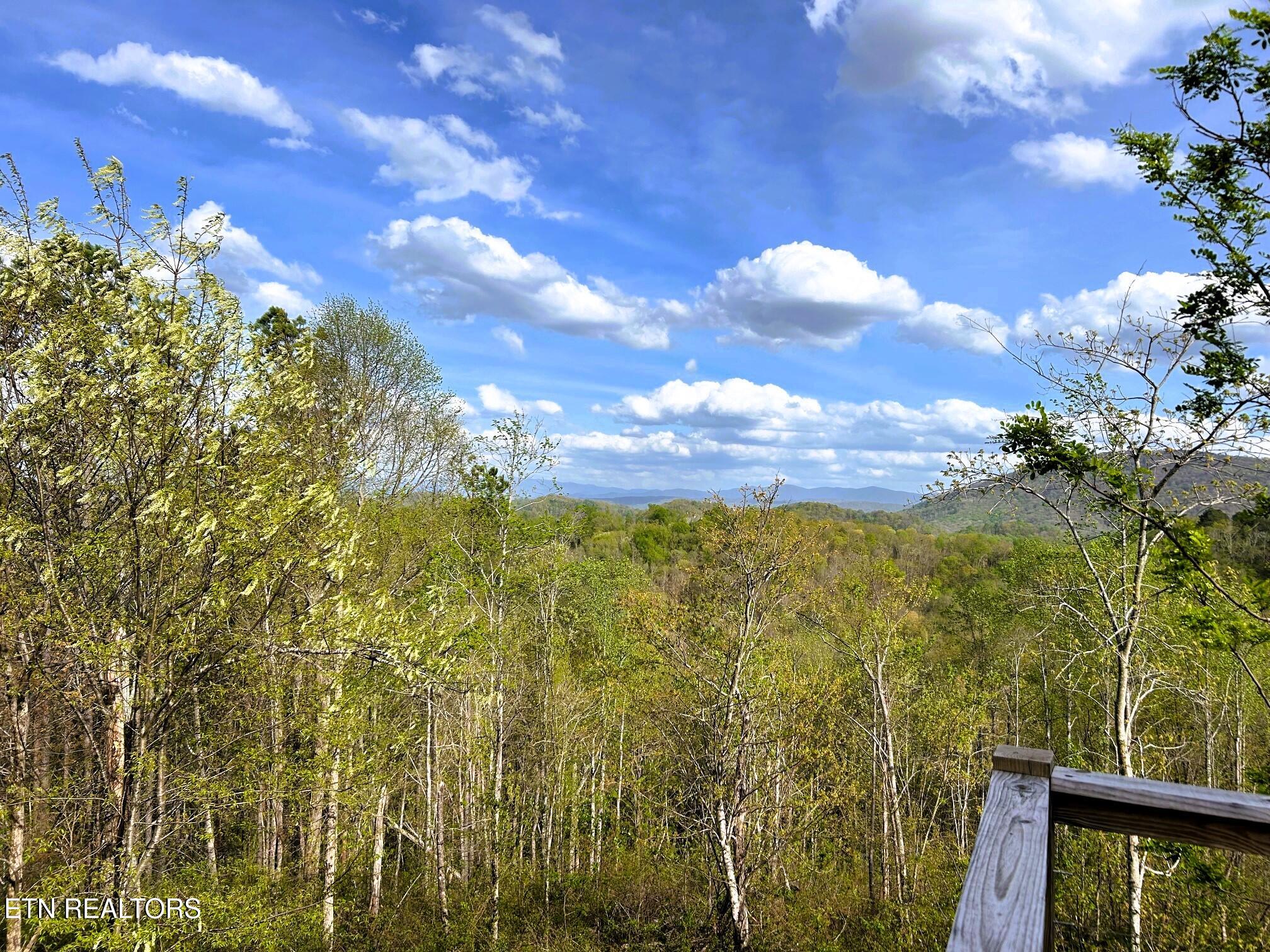 250 County Road 476