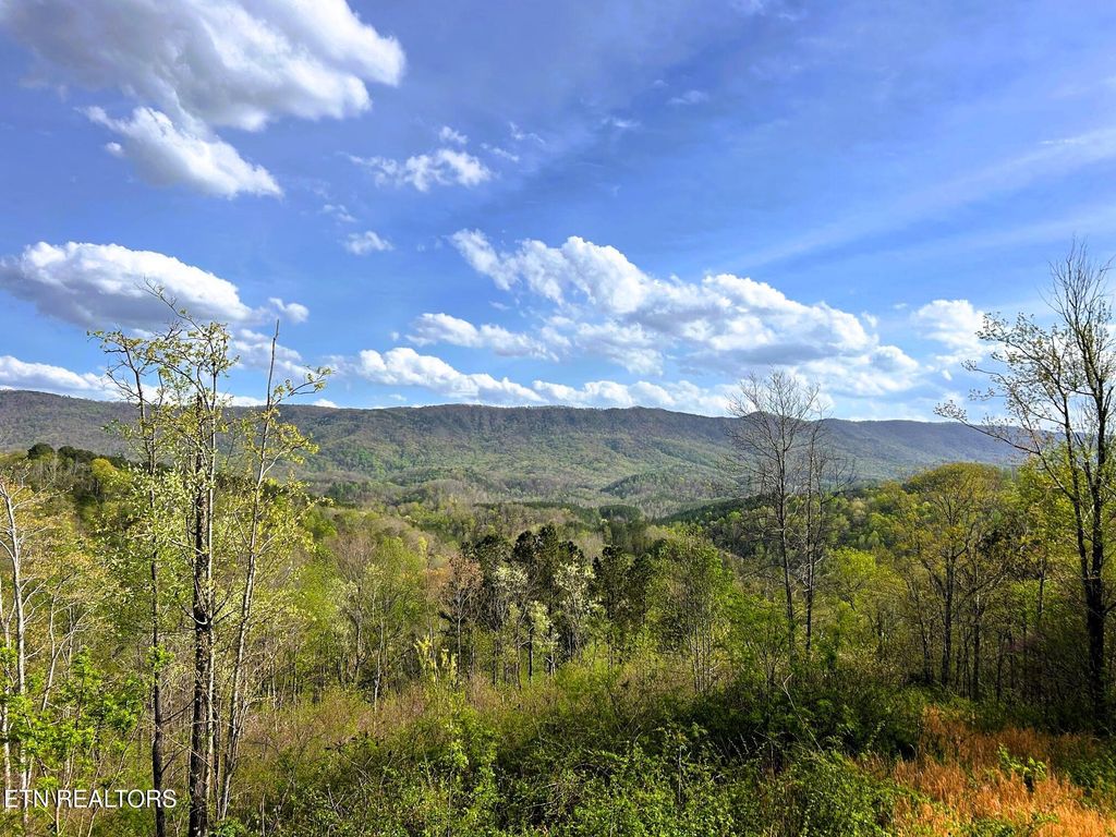 Photo of 250 County Road 476, Englewood, TN 37329 (MLS # 1297439)
