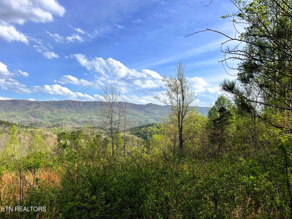 Photo of 250 County Road 476, Englewood, TN 37329 (MLS # 1297439)