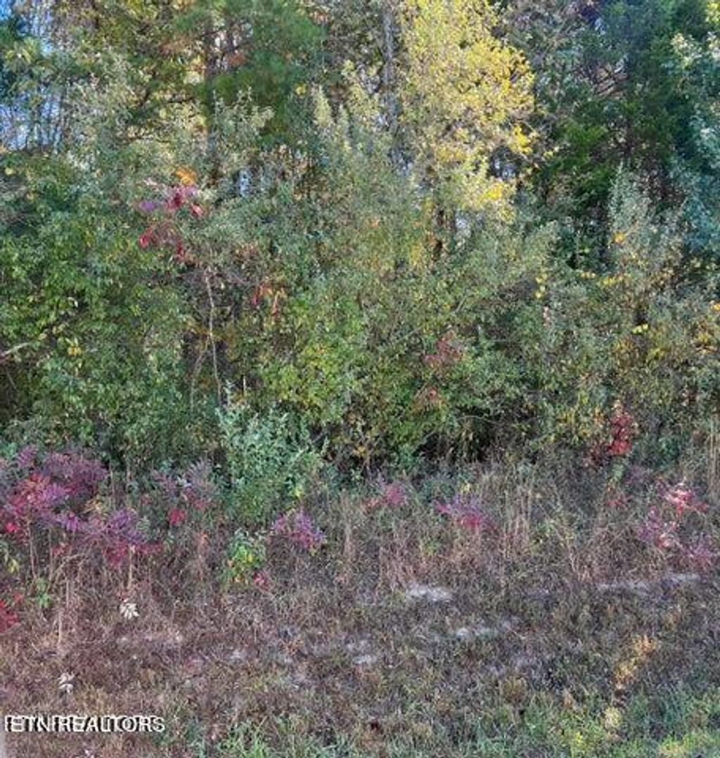 Photo of 11424 E Watkins Rd, Loudon, TN 37774 (MLS # 1265343)