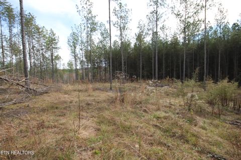 Tiny photo for 10 N Nopone Valley Rd., Decatur, TN 37322 (MLS # 1321856)
