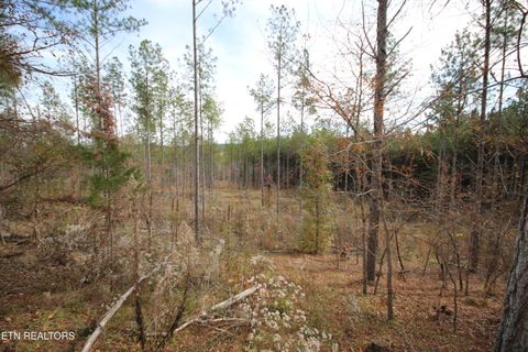 Tiny photo for 10 N Nopone Valley Rd., Decatur, TN 37322 (MLS # 1321856)