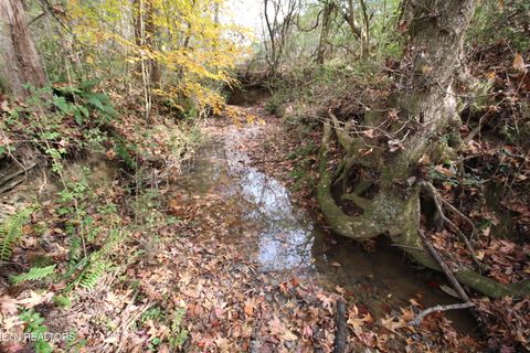 Tiny photo for 10 N Nopone Valley Rd., Decatur, TN 37322 (MLS # 1321856)