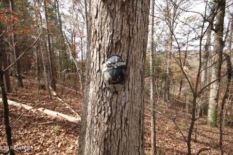 Tiny photo for 10 N Nopone Valley Rd., Decatur, TN 37322 (MLS # 1321856)