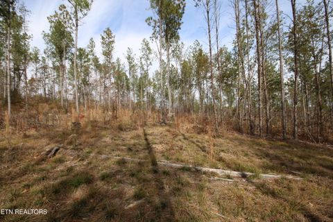 Tiny photo for 10 N Nopone Valley Rd., Decatur, TN 37322 (MLS # 1321856)