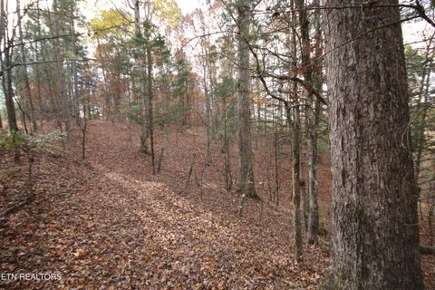Tiny photo for 10 N Nopone Valley Rd., Decatur, TN 37322 (MLS # 1321856)