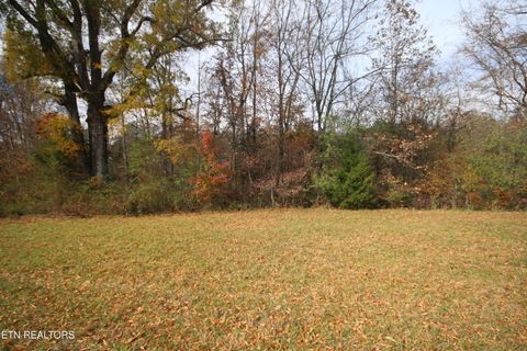Tiny photo for 10 N Nopone Valley Rd., Decatur, TN 37322 (MLS # 1321856)