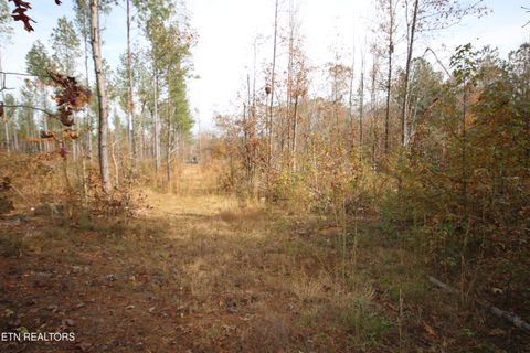 Tiny photo for 10 N Nopone Valley Rd., Decatur, TN 37322 (MLS # 1321856)