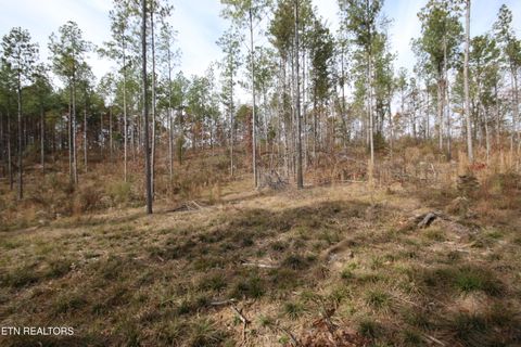 Tiny photo for 10 N Nopone Valley Rd., Decatur, TN 37322 (MLS # 1321856)