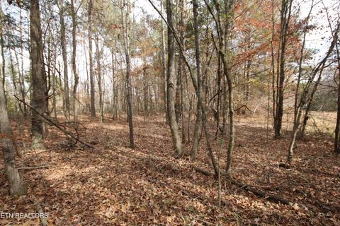 Tiny photo for 10 N Nopone Valley Rd., Decatur, TN 37322 (MLS # 1321856)