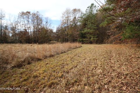 Tiny photo for 10 N Nopone Valley Rd., Decatur, TN 37322 (MLS # 1321856)