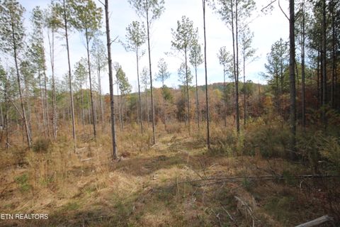 Tiny photo for 10 N Nopone Valley Rd., Decatur, TN 37322 (MLS # 1321856)