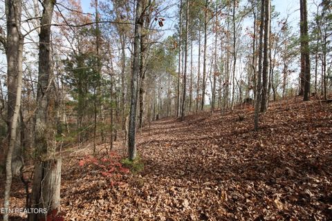 Tiny photo for 10 N Nopone Valley Rd., Decatur, TN 37322 (MLS # 1321856)
